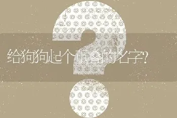 给狗狗起个重叠的名字？