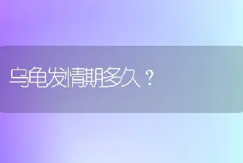 乌龟发情期多久？