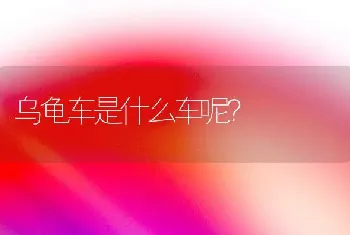 乌龟车是什么车呢？