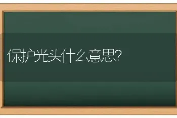 保护光头什么意思？