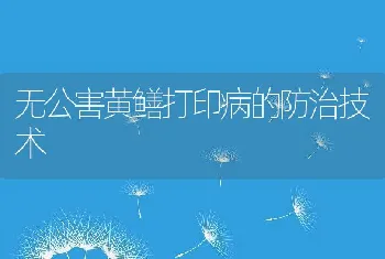 无公害黄鳝打印病的防治技术