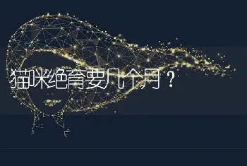 猫咪绝育要几个月？