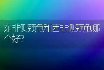 黄雀一般能活几年？