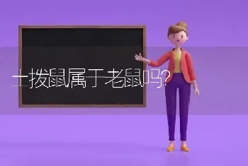 比熊幼犬总喜欢张嘴乱咬？