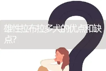 雄性拉布拉多犬的优点和缺点？