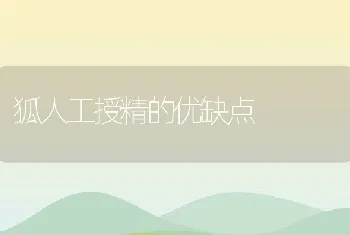 狐人工授精的优缺点