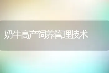 奶牛高产饲养管理技术