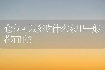 仓鼠可以多吃什么家里一般都有的？