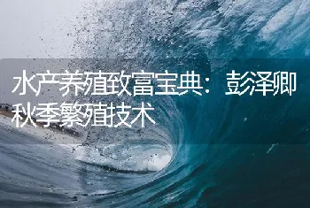 水产养殖致富宝典：彭泽卿秋季繁殖技术