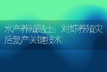 对虾养殖灾后复产关键技术