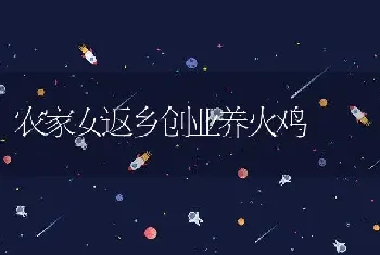 农家女返乡创业养火鸡