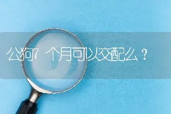 公狗7个月可以交配么？