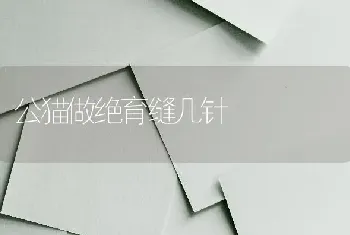 公猫做绝育缝几针