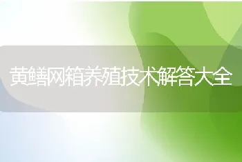 黄鳝网箱养殖技术解答大全