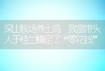 深山牧场养土鸡 致富带头人于桂兰赚足了“零花钱”