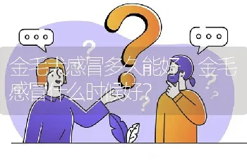 金毛犬感冒多久能好，金毛感冒什么时候好？