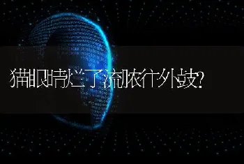 为什么狗狗有时兴奋得耳朵向后倾，尾巴下垂，疯跑，不让摸，咬人？