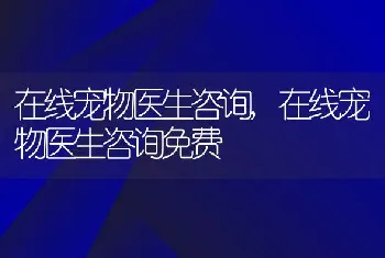 在线宠物医生咨询，在线宠物医生咨询免费