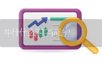 牛什什么四字词语？