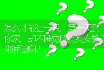 怎么才能让一只.第一天到你家.却不睡觉的狗狗安静下来睡觉啊？