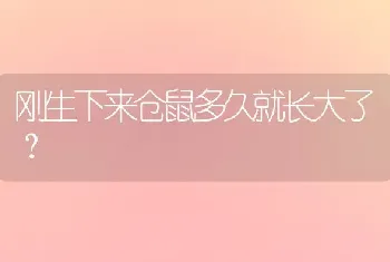 刚生下来仓鼠多久就长大了？