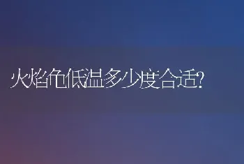 火焰龟低温多少度合适？