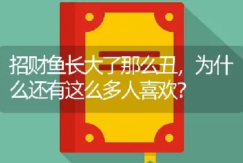 招财鱼长大了那么丑，为什么还有这么多人喜欢？