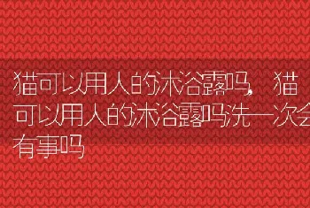 猫可以用人的沐浴露吗，猫可以用人的沐浴露吗洗一次会有事吗