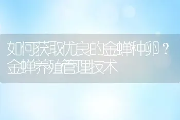 如何获取优良的金蝉种卵？金蝉养殖管理技术