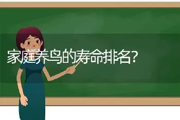 家庭养鸟的寿命排名？