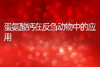 金定鸭高效饲养技术