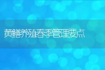 黄鳝养殖春季管理要点