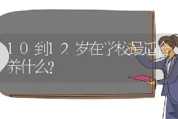 10到12岁在学校最适合养什么？