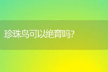 珍珠鸟可以绝育吗？