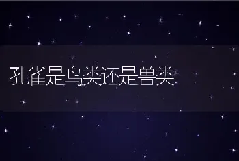 孔雀是鸟类还是兽类