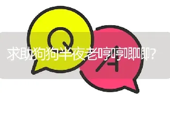 求助狗狗半夜老哼哼唧唧？