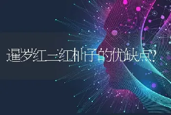 暹罗红三红柚子的优缺点？