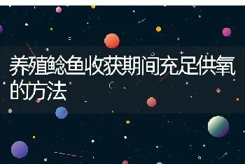 兔饲料中不应添加抗生素