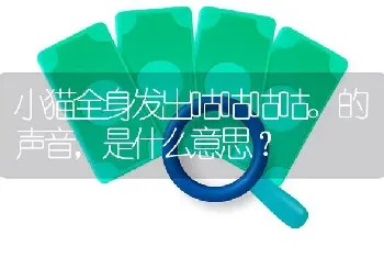 小猫全身发出咕咕咕咕。的声音，是什么意思？