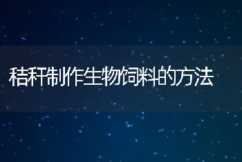 秸秆制作生物饲料的方法