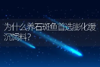 为什么养石斑鱼首选膨化缓沉饲料？