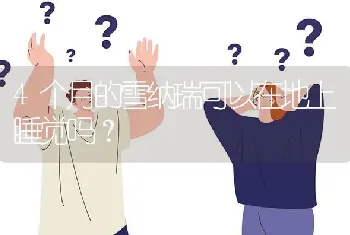 4个月的雪纳瑞可以在地上睡觉吗？