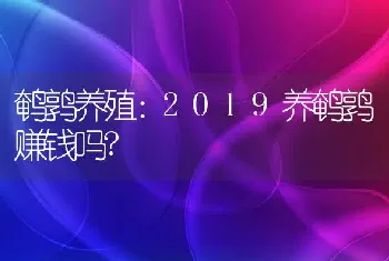 鹌鹑养殖：2019养鹌鹑赚钱吗?