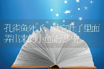 孔雀鱼死了,从它肚子里面弄出来的小鱼能活吗？