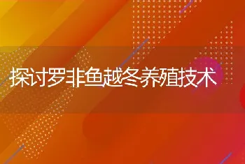 探讨罗非鱼越冬养殖技术