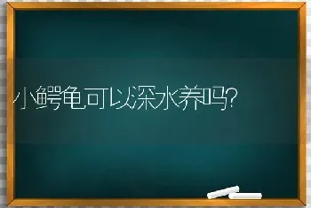 小鳄龟可以深水养吗？