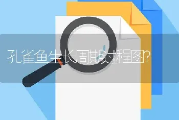 孔雀鱼生长周期过程图？