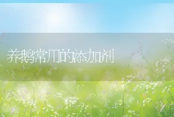 养鹅常用的添加剂