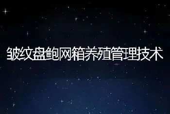 皱纹盘鲍网箱养殖管理技术