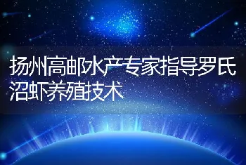 扬州高邮水产专家指导罗氏沼虾养殖技术